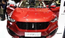 长城wey最新爆料,尖端科技与豪华体验的完美融合