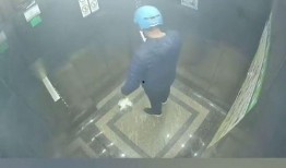 最新外网爆料平台,最新外网爆料平台独家爆料，带你领略网络世界的风云变幻