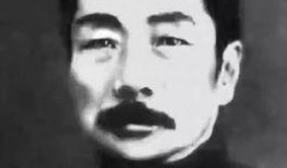 鲁迅最新爆料视频大全播放,揭秘历史真相，引发热议