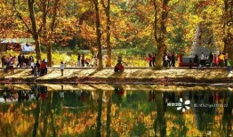 花溪花果园爆料事件最新,揭秘背后真相与争议